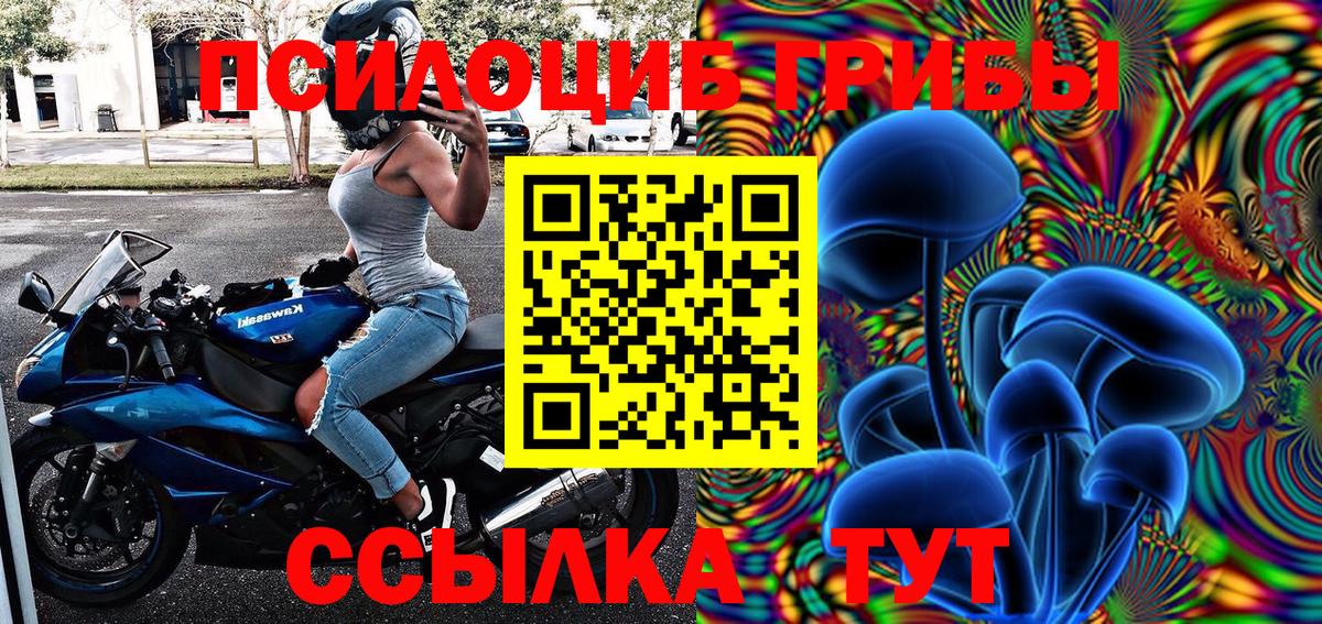 Астрахань  Псилоцибиновые грибы Psilocybine cubensis  Вход с VPN 