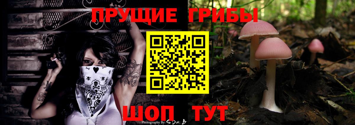 Псилоцибиновые грибы мицелий Астрахань