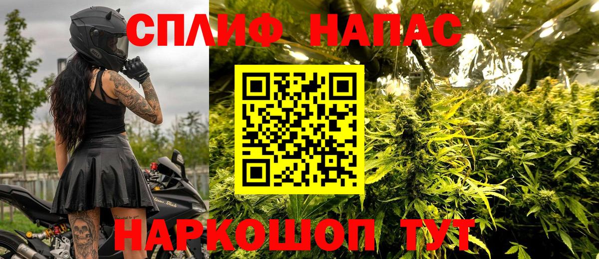 Каннабис ГИДРОПОН  Вход с VPN  Астрахань  МАРИХУАНА OG Kush 